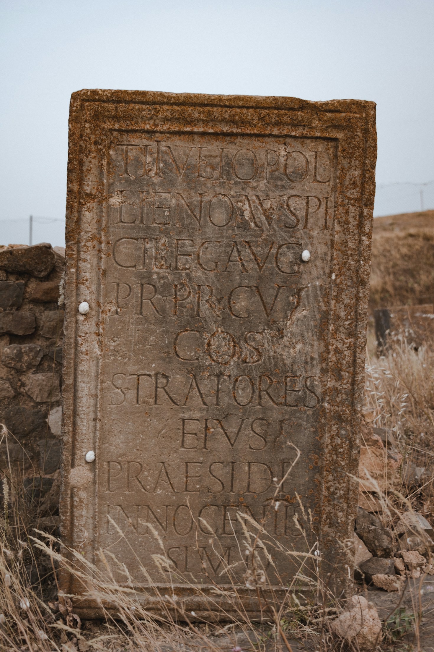 The Role of Samskritam in Modern Day Language Studies