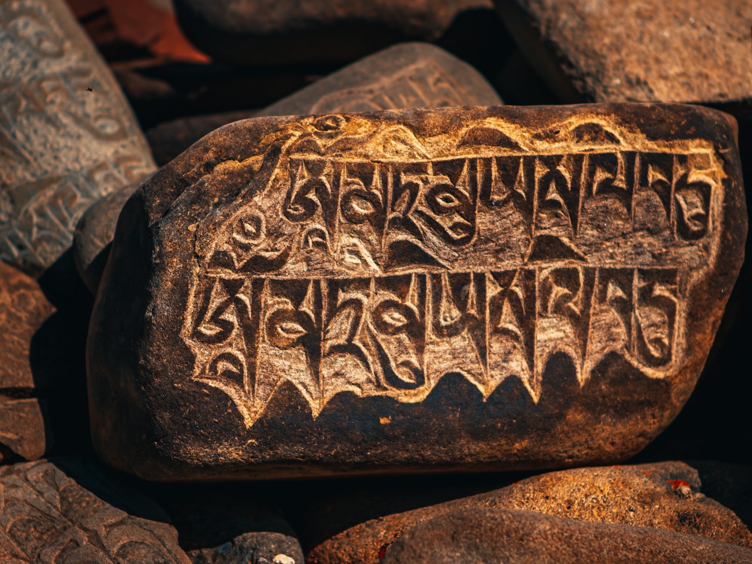 How Learning Samskritam Can Broaden Your Horizons